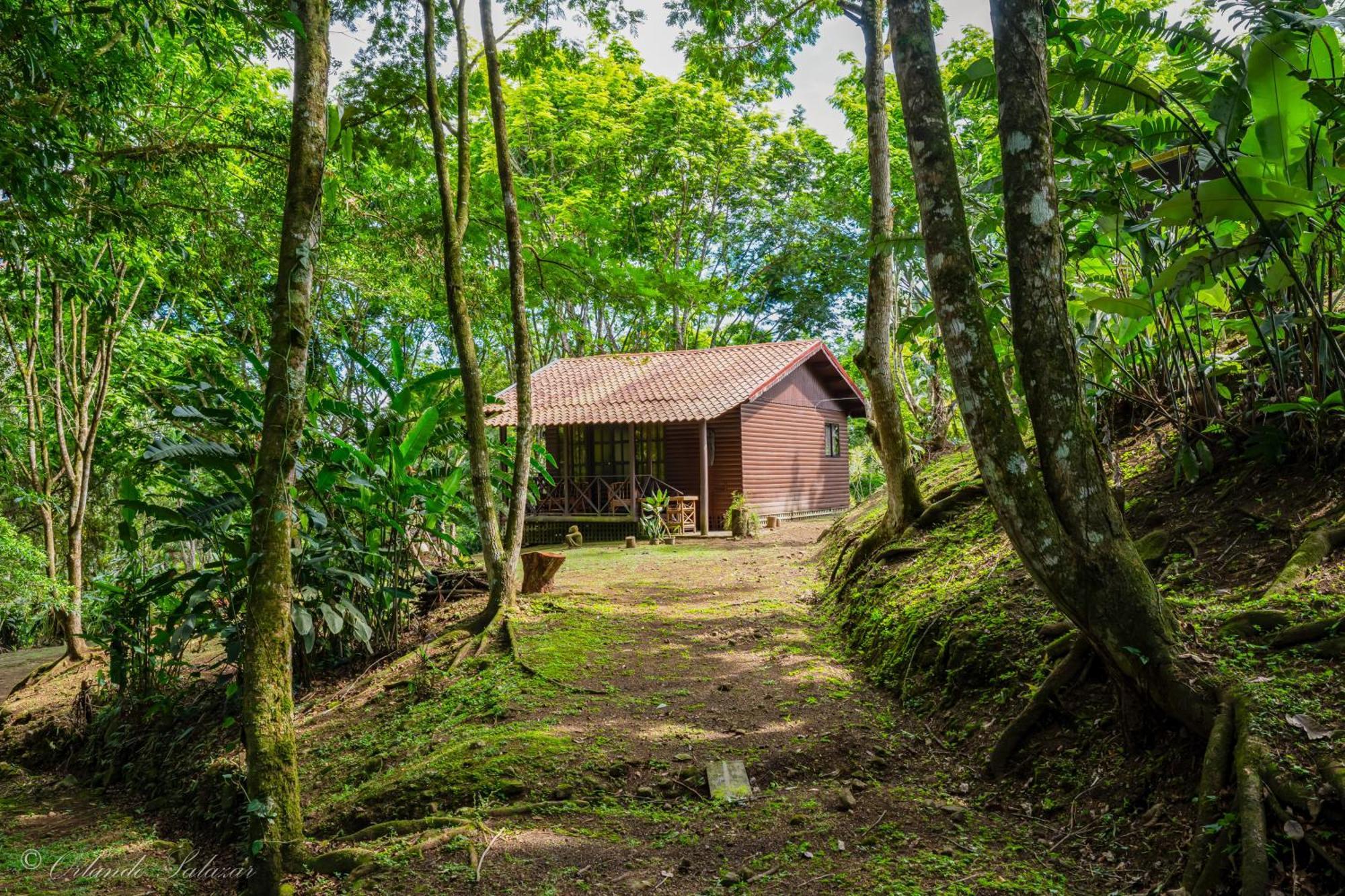 Hospedaje La Naciente Bed & Breakfast Turrialba Luaran gambar