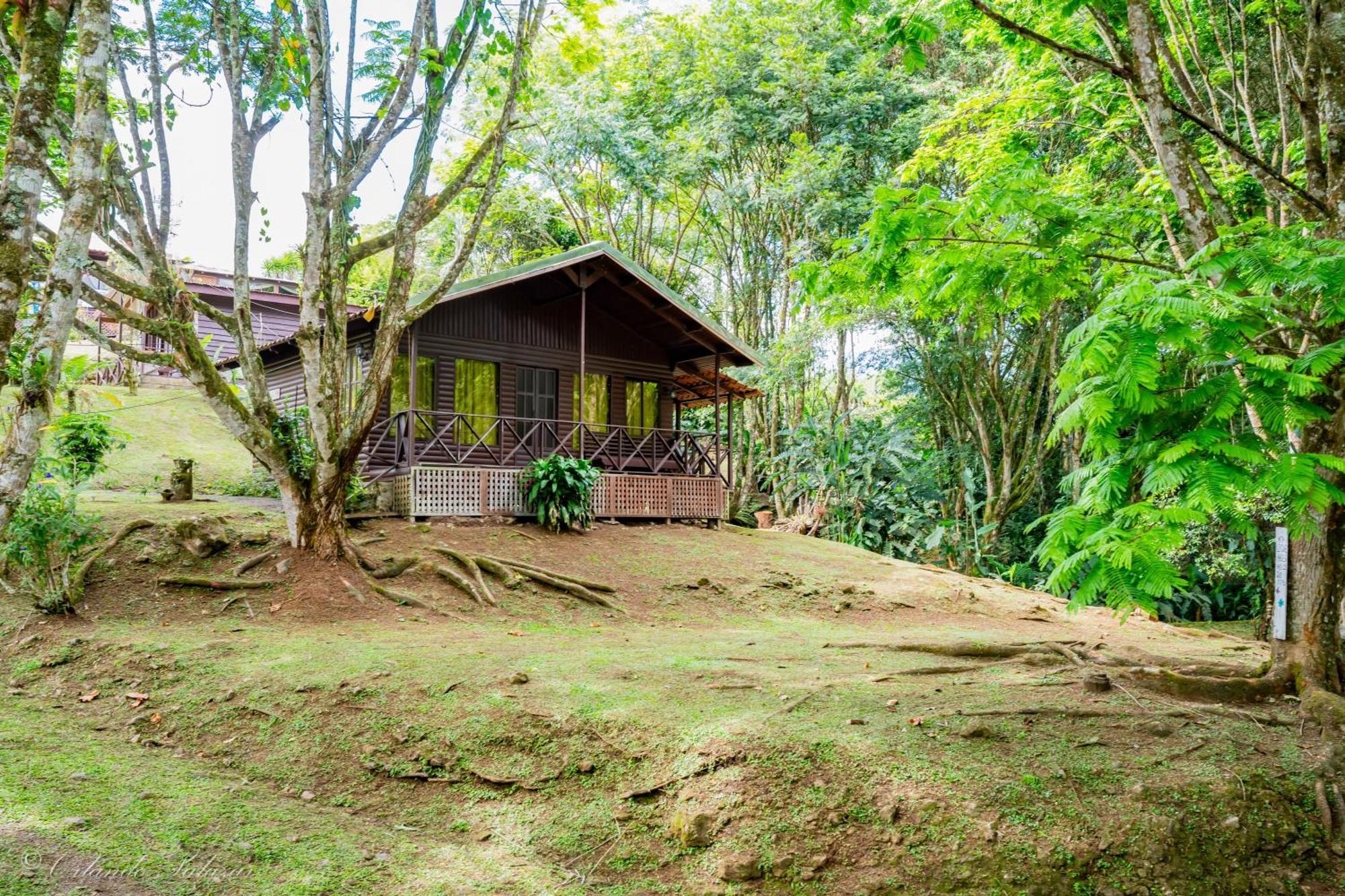 Hospedaje La Naciente Bed & Breakfast Turrialba Luaran gambar