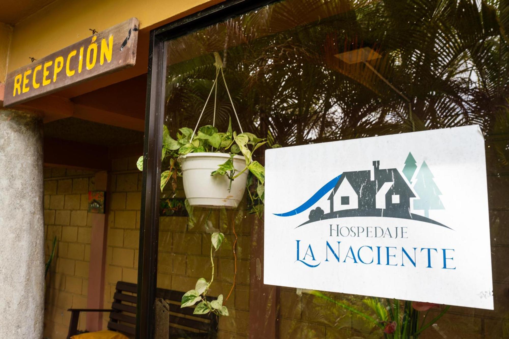 Hospedaje La Naciente Bed & Breakfast Turrialba Luaran gambar