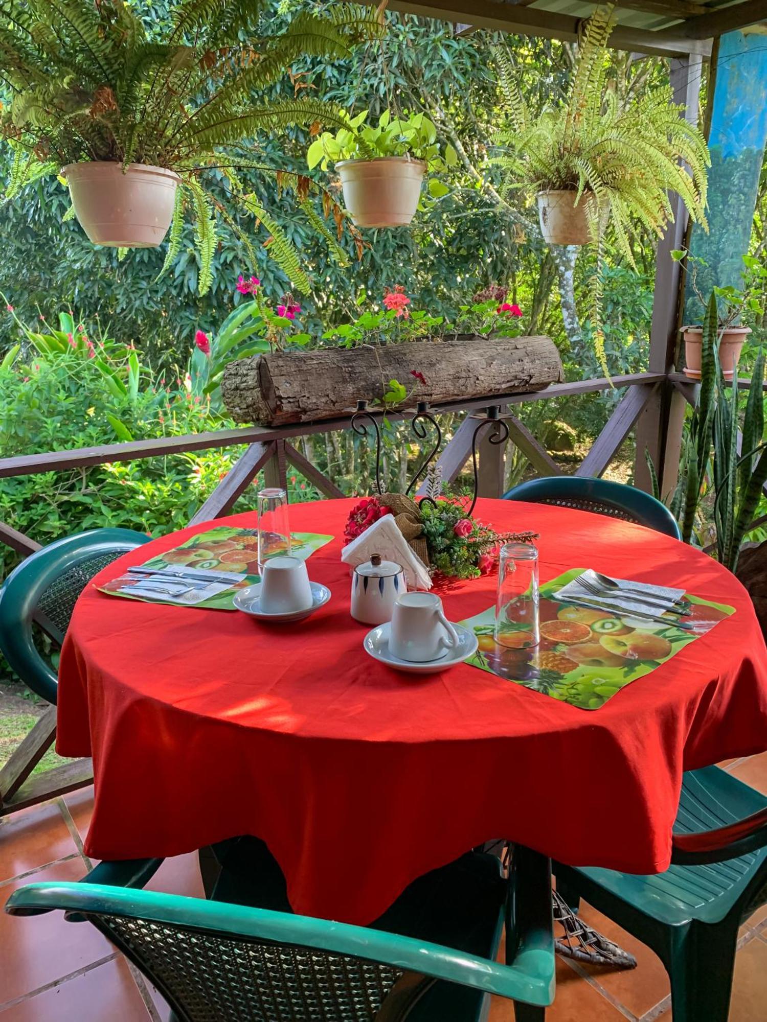 Hospedaje La Naciente Bed & Breakfast Turrialba Luaran gambar