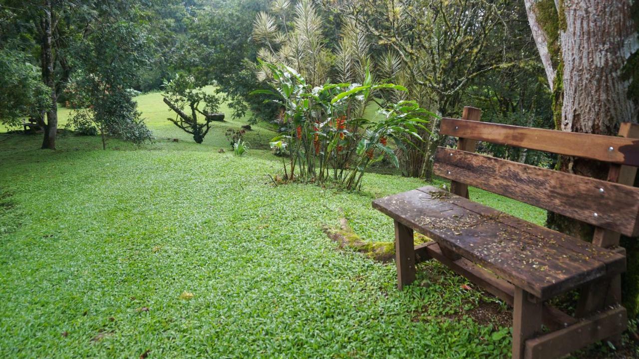 Hospedaje La Naciente Bed & Breakfast Turrialba Luaran gambar